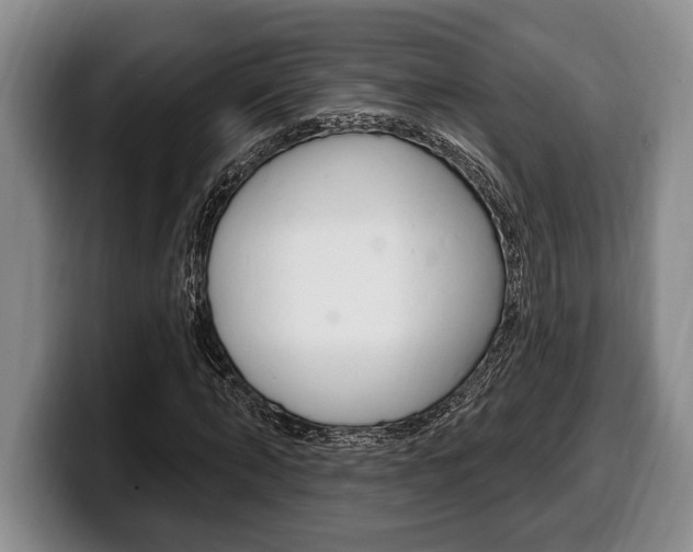 X0000100330870200806051201