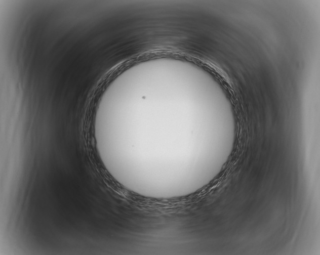 X0000100330872200806051201