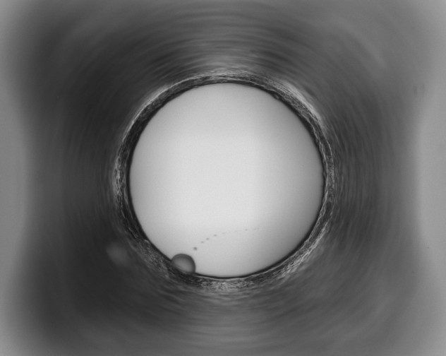X0000100330875200806051201