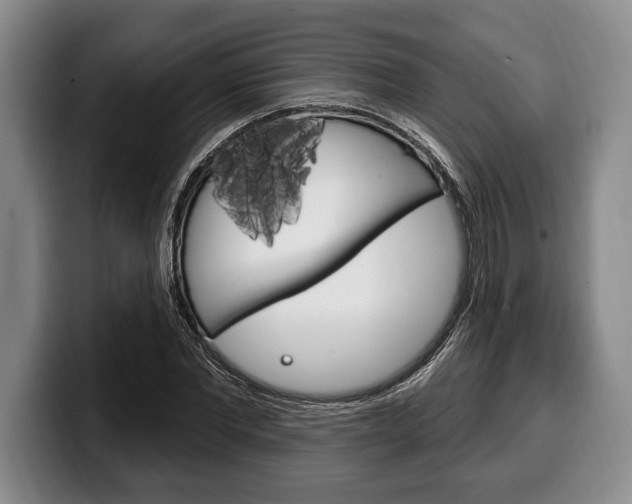 X0000100330877200806051201