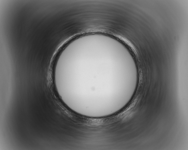X0000100330878200806051201