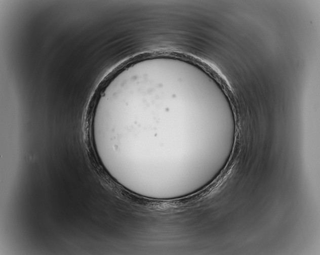 X0000100330879200806051201