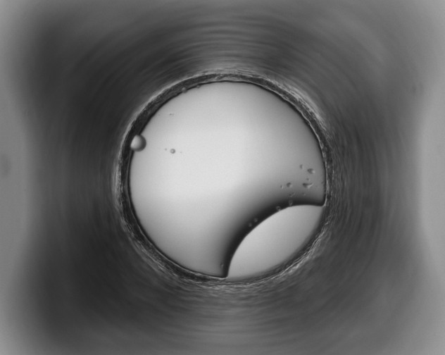 X0000100330880200806051201