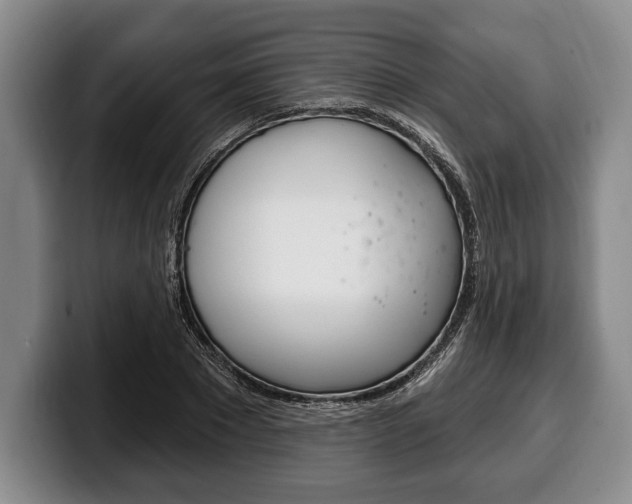 X0000100330881200806051201