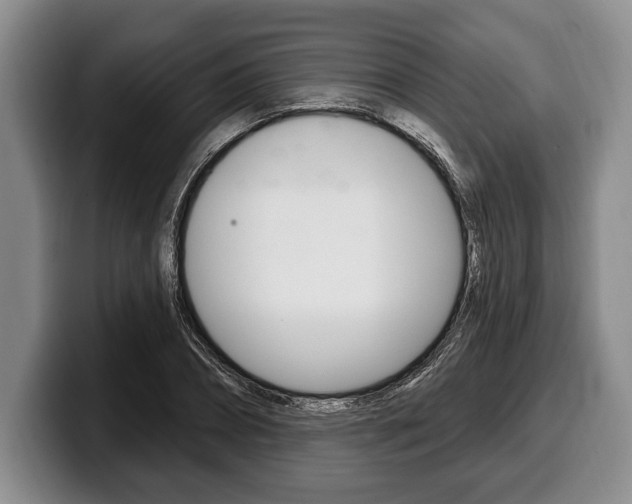 X0000100330882200806051201