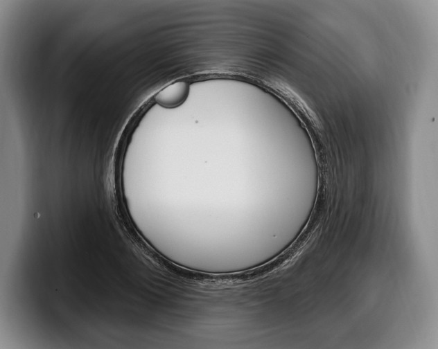 X0000100330884200806051201