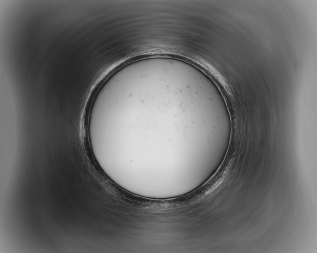 X0000100330885200806051201