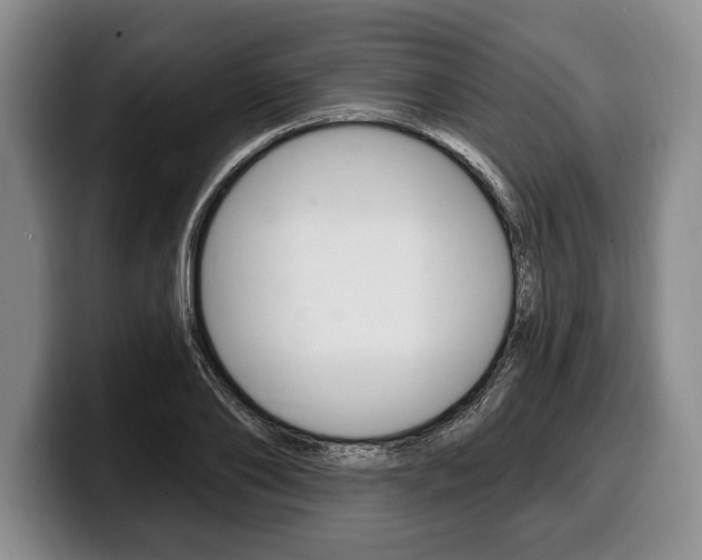 X0000100330886200806051201