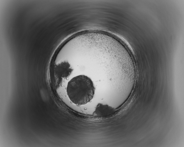 X0000100330887200806051201