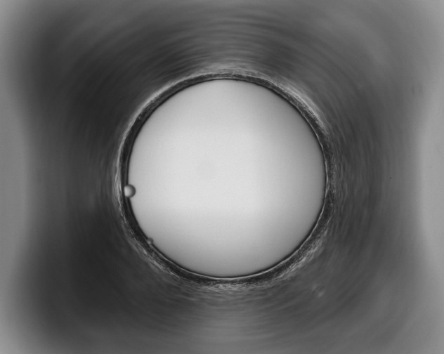 X0000100330888200806051201