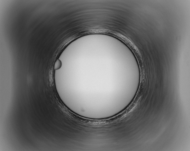 X0000100330889200806051201