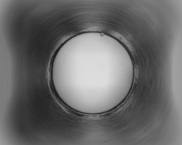 X0000100330890200806051201