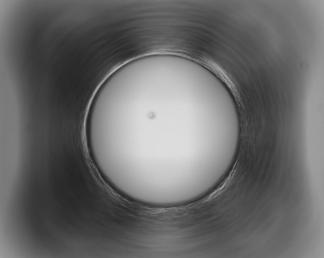X0000100330892200806051201