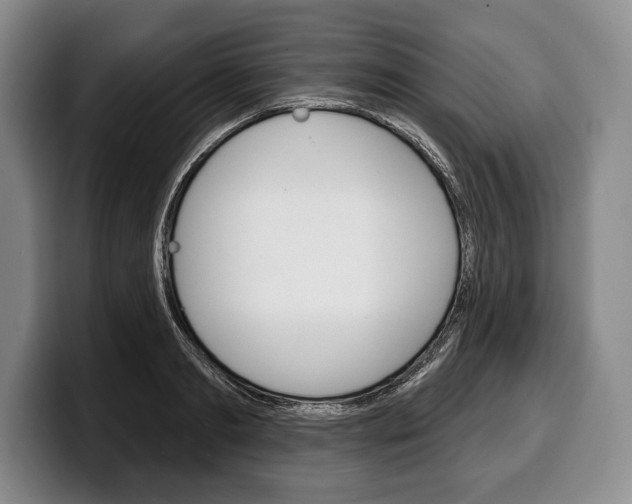 X0000100330893200806051201