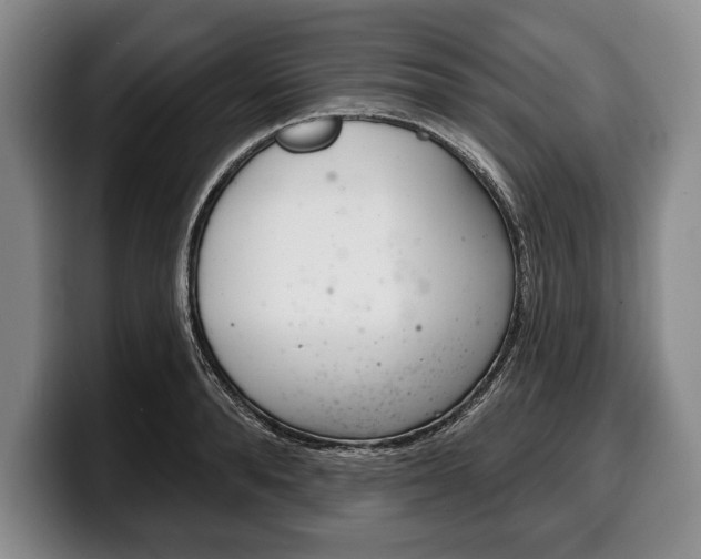 X0000100330896200806051201