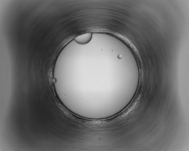 X0000100330897200806051201