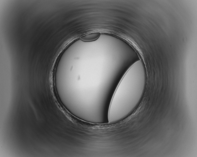 X0000100330898200806051201