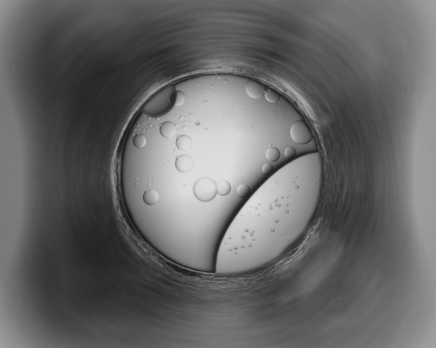 X0000100330899200806051201