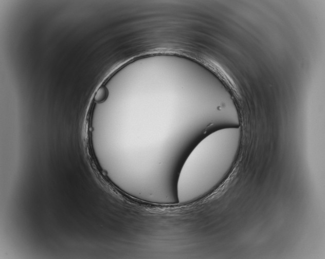 X0000100330900200806051201