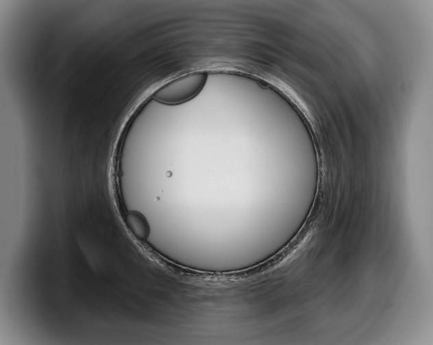X0000100330901200806051201