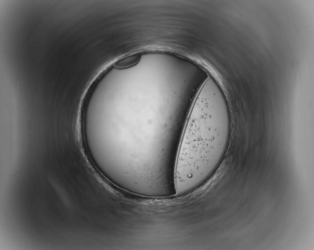 X0000100330902200806051201