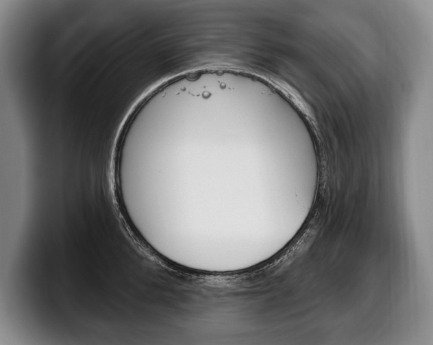 X0000100330904200806051201