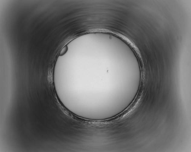 X0000100330905200806051201