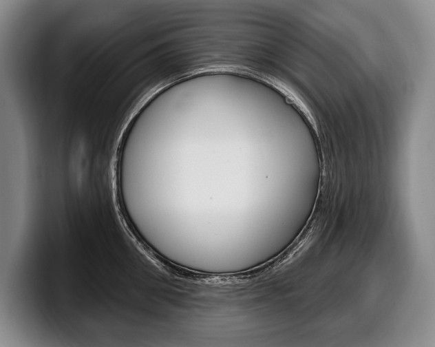 X0000100330906200806051201