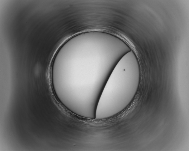 X0000100330907200806051201