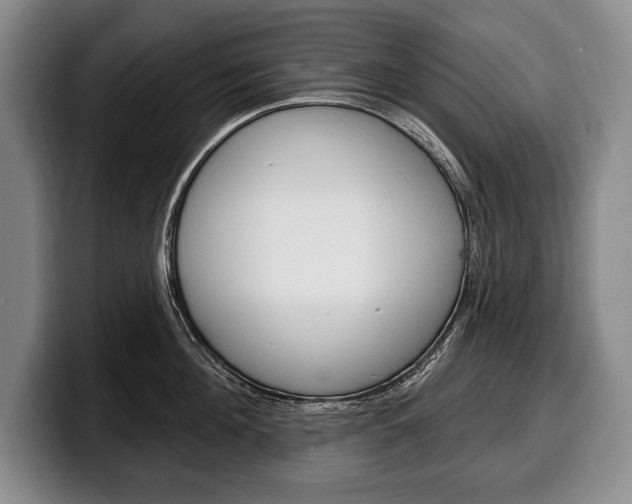 X0000100330908200806051201