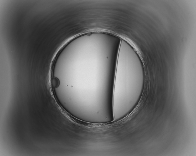 X0000100330910200806051201