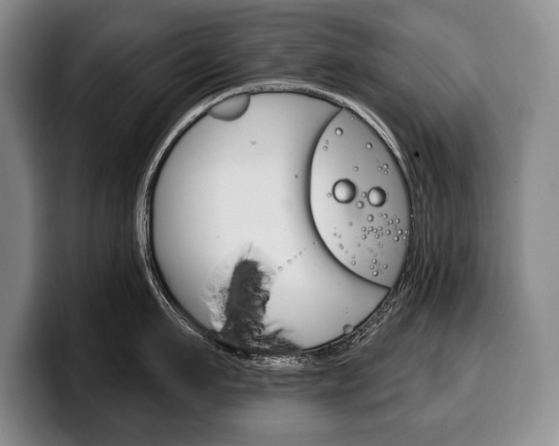 X0000100330911200806051201