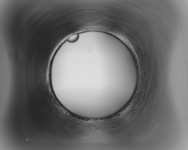 X0000100330912200806051201