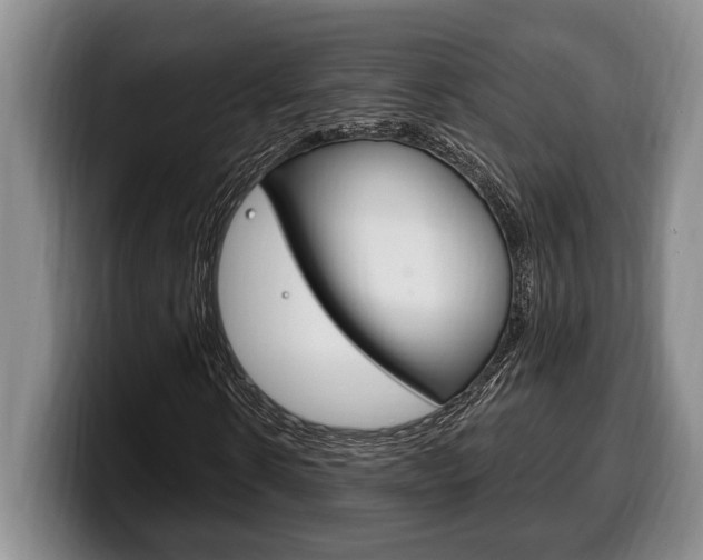 X0000100330914200806051200
