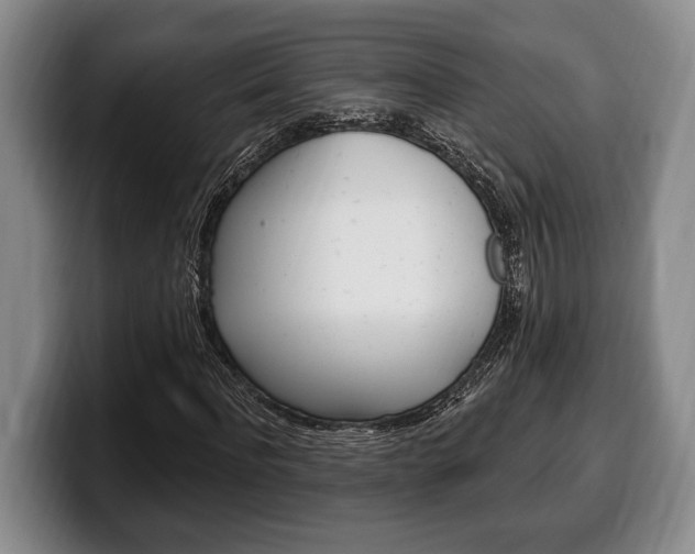 X0000100330916200806051200