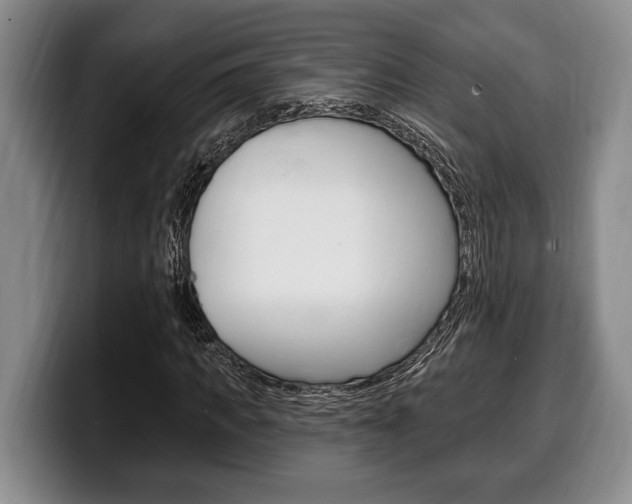 X0000100330917200806051200