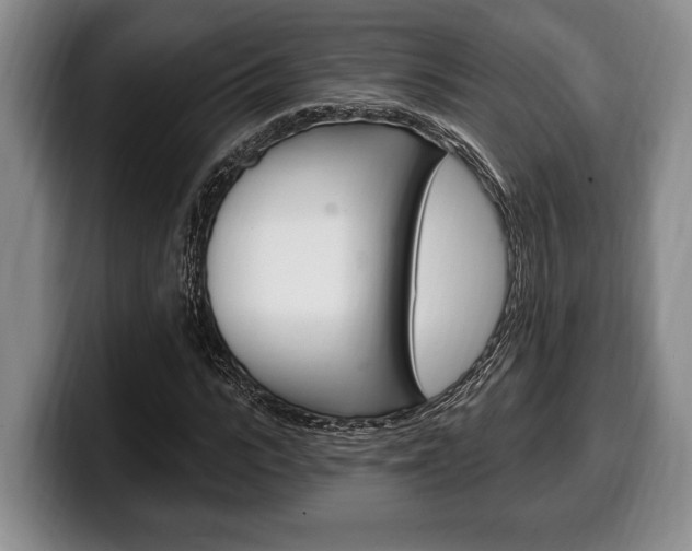 X0000100330919200806051200