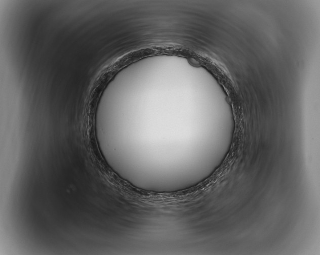 X0000100330920200806051200