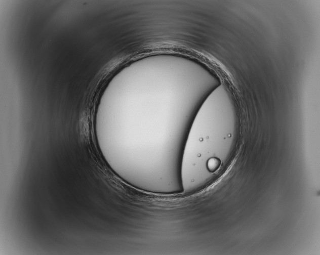 X0000100330921200806051200