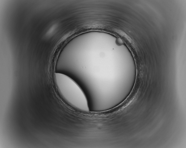 X0000100330922200806051200
