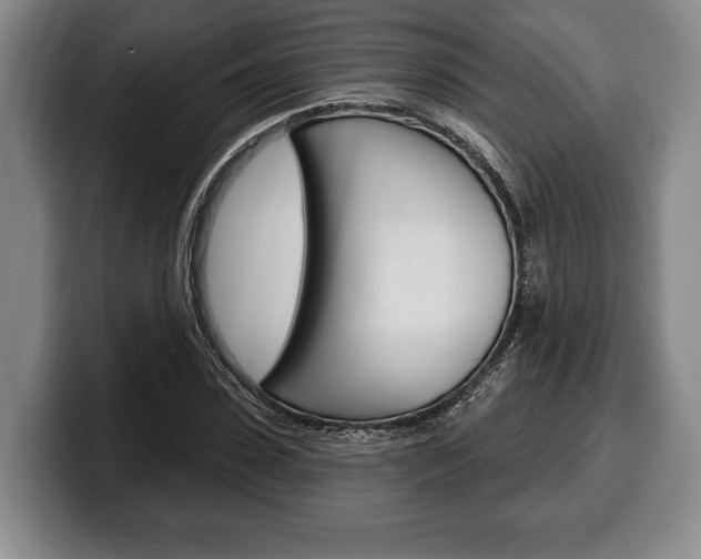 X0000100330923200806051200