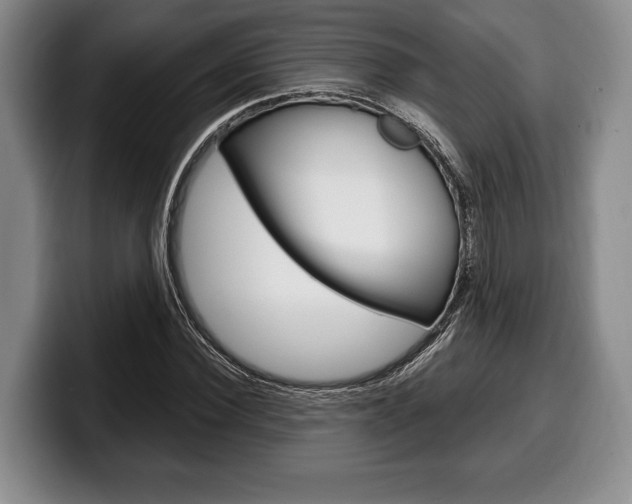 X0000100330924200806051200
