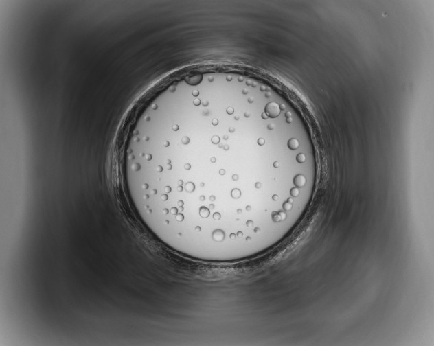 X0000100330925200806051200