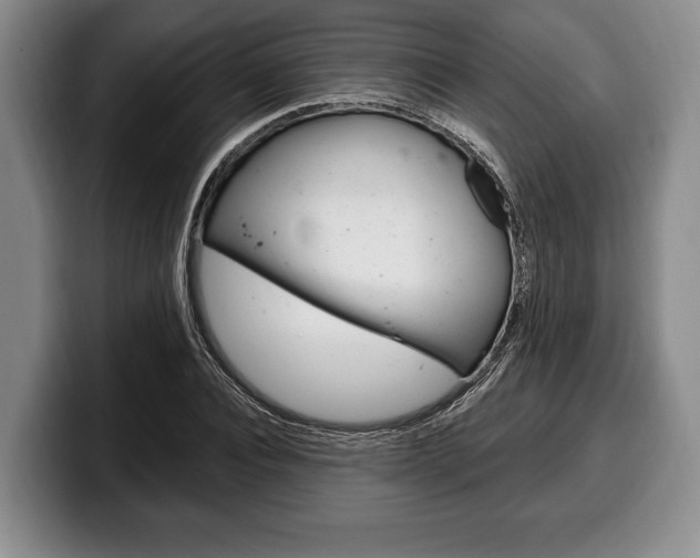 X0000100330928200806051200