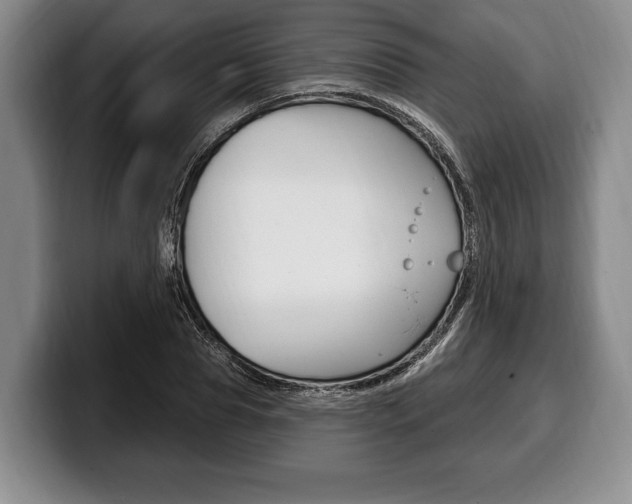 X0000100330929200806051200
