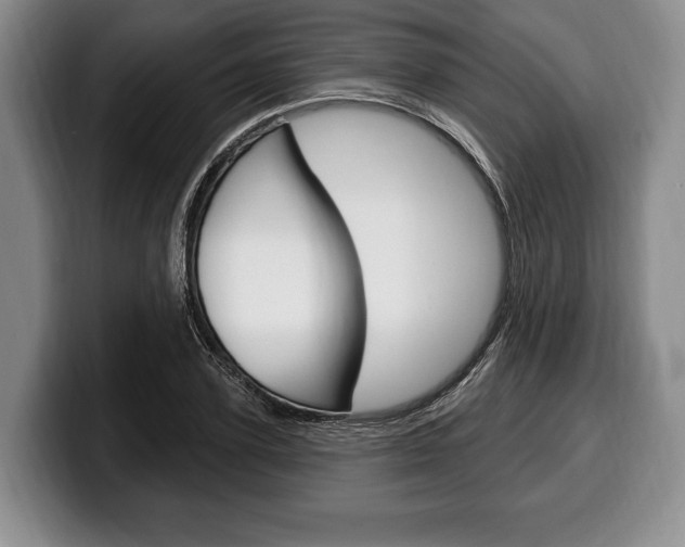 X0000100330931200806051200