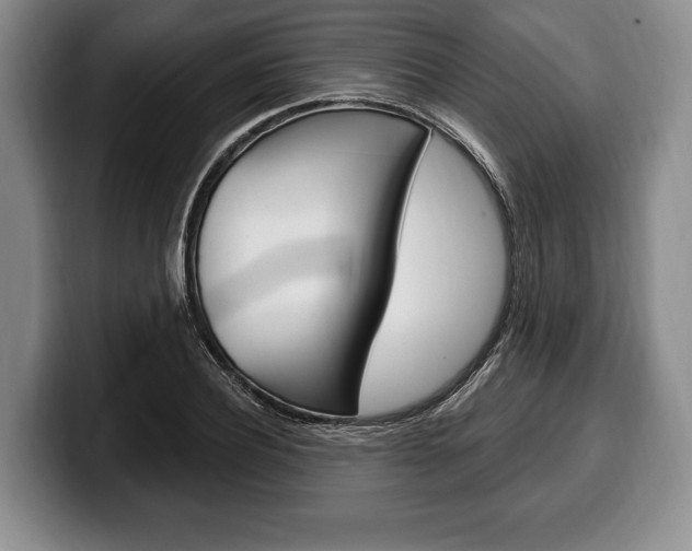 X0000100330932200806051200