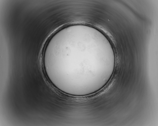 X0000100330933200806051200