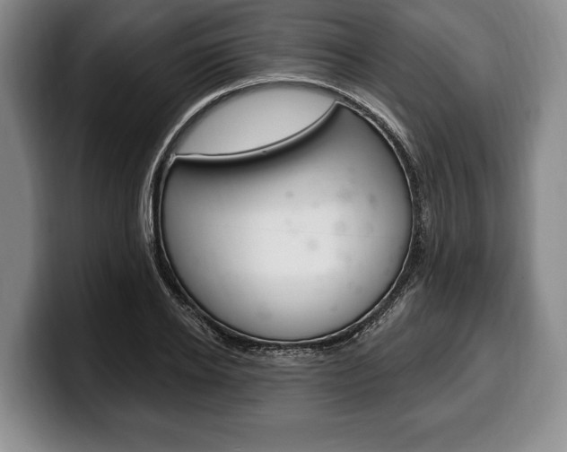 X0000100330934200806051200