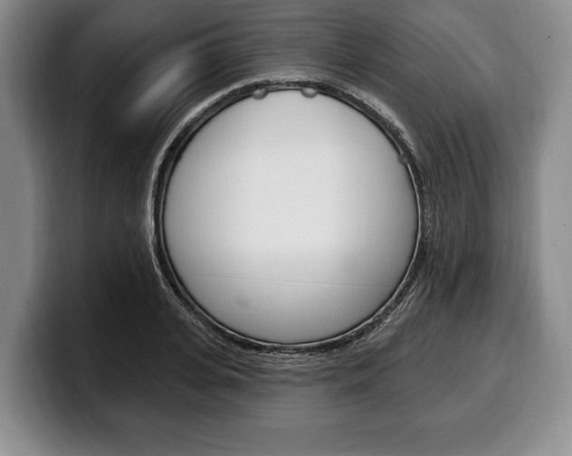 X0000100330935200806051200